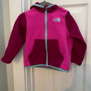 Toddler Girl The North Face Fleece Hoodie 12-18M